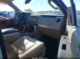 Ford F-150 Fx4/King Ranch/Lariat/Platinum/Xl/Xlt 1FTPW14V89KC92121 photo