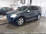 Mercedes-Benz Gl 450 4Matic 4JGBF7BE2AA538585 снимка