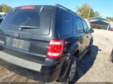 Ford Escape Xlt 1FMCU031X8KA80604 снимка