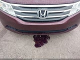 Honda Odyssey Ex-L 5FNRL5H6XBB046511 снимка