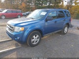 Ford Escape Xlt 1FMCU03789KC81133 снимка