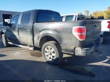 Ford F-150 Xlt 1FTFW1ET3EKF83497 снимка