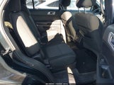 Miniaturka zdjęcia 8