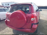 Toyota Rav4 Limited V6 JTMBK31VX66007980 fotografie