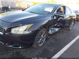 Nissan Maxima 3.5 S 1N4AA5AP3EC912952 photo