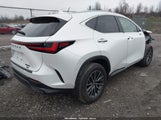 Lexus Nx 350 2T2AGCEZ7SC089871 fotografie
