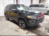 Jeep Compass Trailhawk 4X4 3C4NJDDB1JT187615 снимка