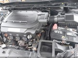Honda Accord Ex-L V-6 1HGCR3F81DA019871 photo