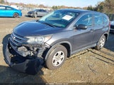 Honda Cr-V Lx 3CZRM3H36EG703336 снимка