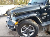 Jeep Wrangler Unlimited Sahara 4X4 1C4HJXEG9MW511207 fotografie