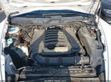 Miniaturka zdjęcia 10