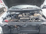 Ford F-150 Fx4/Harley-Davidson/King Ranch/Lariat/Platinum/Xl/Xlt 1FTFW1EV7AFA67616 photo