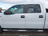 Ford F-150 Fx4/Harley-Davidson/King Ranch/Lariat/Platinum/Xl/Xlt 1FTFW1EV7AFA67616 photo