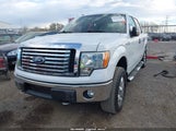 Ford F-150 Fx4/Harley-Davidson/King Ranch/Lariat/Platinum/Xl/Xlt 1FTFW1EV7AFA67616 fotografie