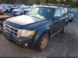 Ford Escape Xlt 1FMCU03709KD02007 снимка