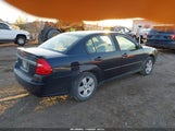 Chevrolet Malibu Lt 1G1ZT58F57F238589 photo