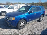 Ford Escape Xlt 1FMCU03ZX8KE22042 снимка