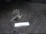 Miniaturka zdjęcia 6