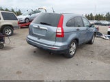 Miniaturka zdjęcia 4