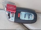 Miniaturka zdjęcia 11