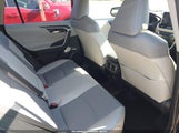 Toyota Rav4 Xle Premium JTMC1RFV1KD024868 снимка