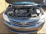 Toyota Corolla Le 2T1BU4EE3DC085839 fotografie