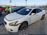 Nissan Maxima 3.5 Sv 1N4AA5AP5BC862129 снимка