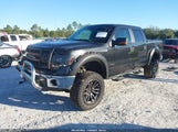 Ford F-150 Xlt 1FTFW1ET3EFB66907 снимка