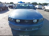 Ford Mustang Gt 1ZVFT82H365136022 снимка