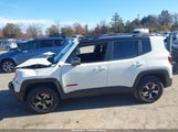 Jeep Renegade Trailhawk 4X4 ZACNJDC17MPM56816 fotografie