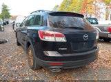 Mazda Cx-9 Touring JM3TB38V690166083 снимка
