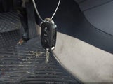 Miniaturka zdjęcia 11