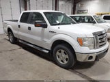 Ford F-150 1FTFW1ET3BD98393 снимка