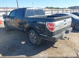 Ford F-150 Platinum 1FTFW1ET0BFB32273 снимка