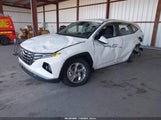 Hyundai Tucson Se 5NMJA3DE4RH438249 снимка