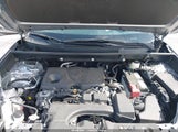 Toyota Rav4 Xle 2T3W1RFV5SC315228 снимка