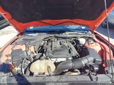 Ford Mustang Ecoboost 1FA6P8TH5G5215446 снимка