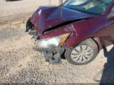 Honda Accord 2.4 Lx 1HGCP2F32CA195895 снимка