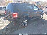 Ford Escape Xlt 1FMCU9DG8BKB28308 снимка