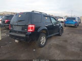 Ford Escape Xlt 1FMCU9DG6CKB92803 fotografie