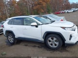 Toyota Rav4 Xle JTMP1RFV7LD059546 fotografie