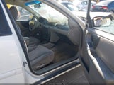 Chevrolet Malibu 1G1ND52J73M597683 снимка