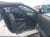 Miniaturka zdjęcia 5