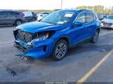 Miniaturka zdjęcia 2
