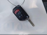 Miniaturka zdjęcia 11
