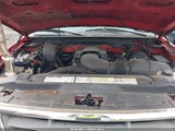 Ford F-150 Lariat/Work Series/Xl/Xlt 1FTRF17W1XNA00415 photo