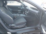 Ford Mustang Ecoboost 1FA6P8TH8G5266259 снимка