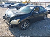 Nissan Maxima 3.5 Sv 1N4AA5AP6BC845758 снимка