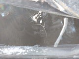 Kia Forte Gt 3KPF44AC9RE796542 снимка