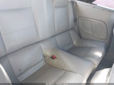 Miniaturka zdjęcia 8